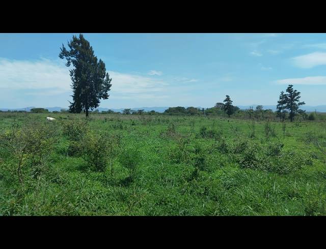 5HA FARM FOR SALE IN ELIM